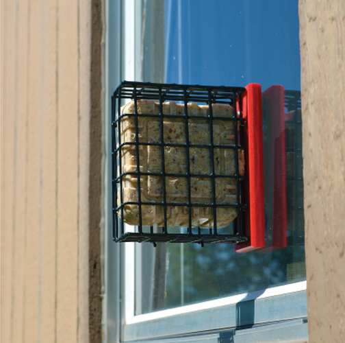 Recycled Poly Window Suet Feeder Red